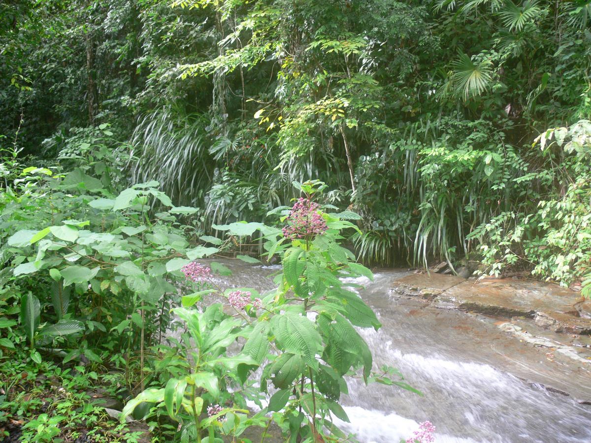 Waterfall Villas Baru Esterno foto